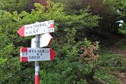 51 Discesi al rifugio scendiamo a dx per Passo Barbata seguendo il sent. 519-Baita Sedernel 